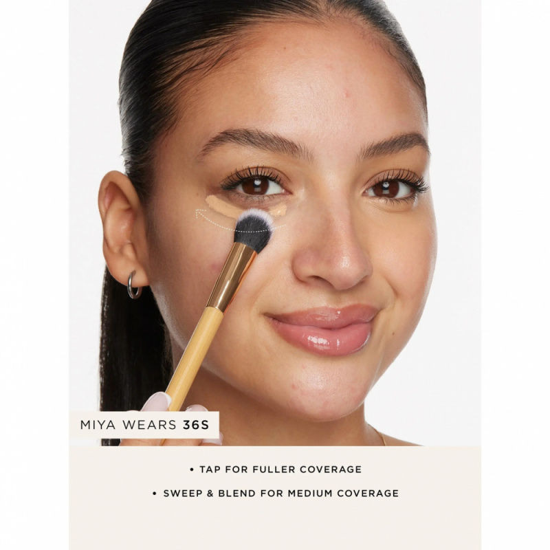 tarte Concealer Paw Brush Angl - đánh giá và giá Makeup Brush Set