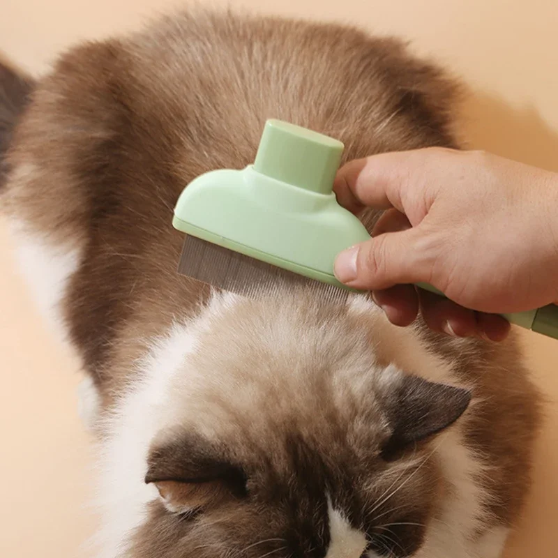 Pet Cat Comb Cat and Dog Hair  - đánh giá và giá Beauty Makeup Artist