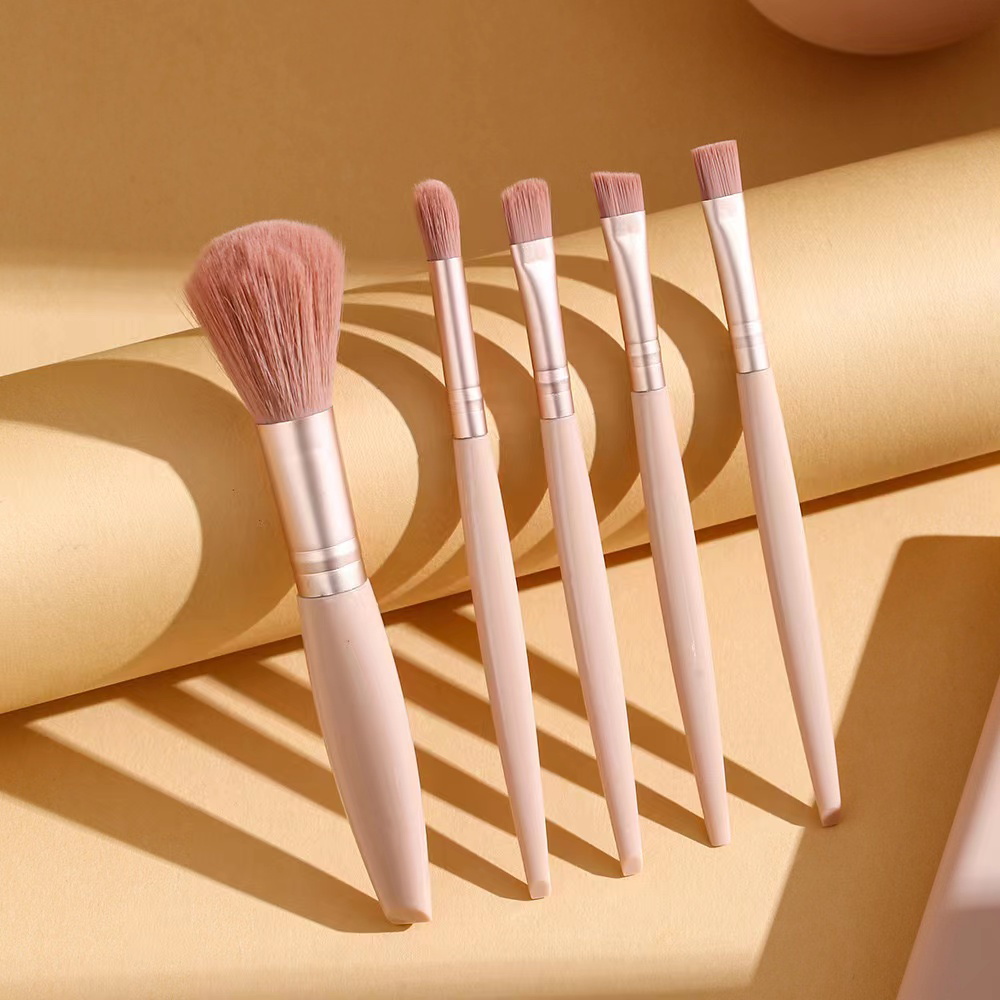 5pcs Cosmetic Brush Kit With M - đánh giá và giá Beauty Makeup Kit Box