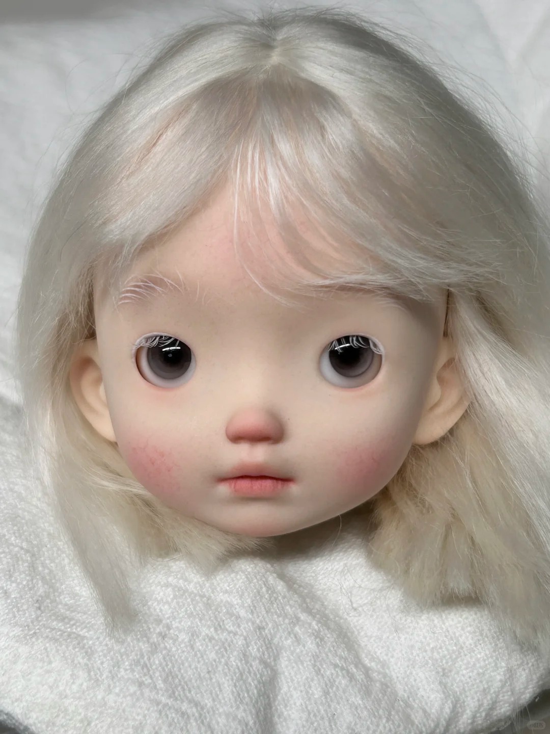 1/6 Scale SD BJD Doll Head - L - đánh giá và giá Beauty No Makeup